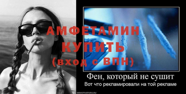 индика Вязьма