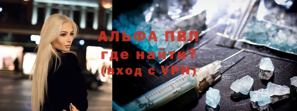 индика Вязьма