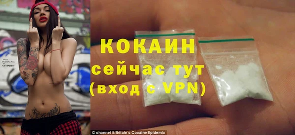 индика Вязьма