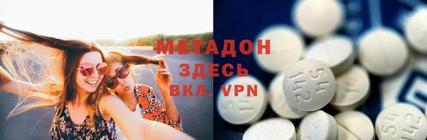 индика Вязьма