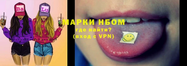 индика Вязьма