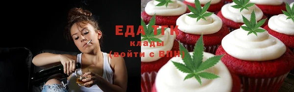 индика Вязьма