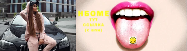 индика Вязьма