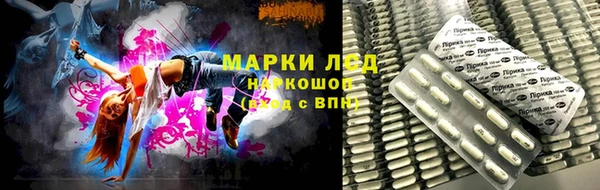 spice Вяземский