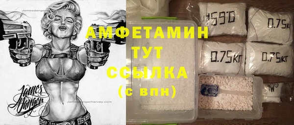 индика Вязьма