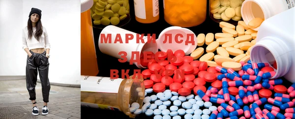 spice Вяземский