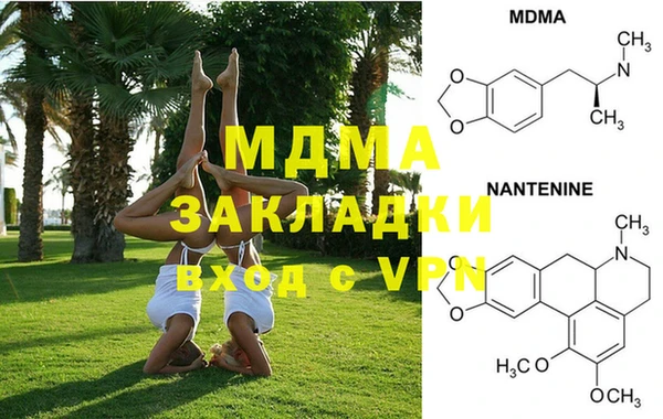 индика Вязьма