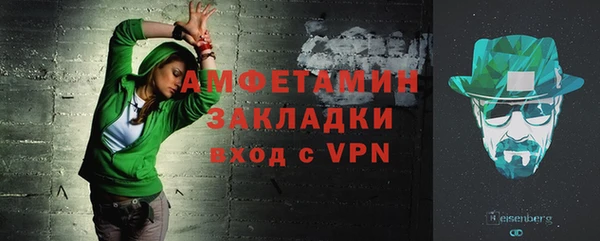индика Вязьма