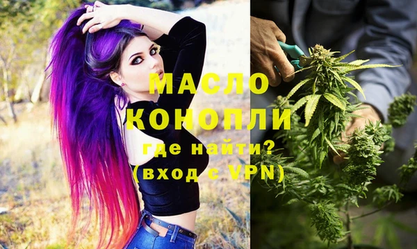 индика Вязьма