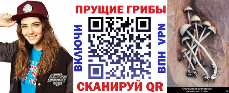 ОМГ ОМГ рабочий сайт  Сочи  Псилоцибиновые грибы мухоморы 