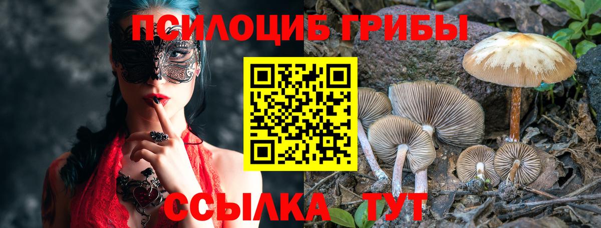 Сочи  продажа наркотиков  Вход с VPN  Псилоцибиновые грибы Psilocybine cubensis  Псилоцибиновые грибы мухоморы 
